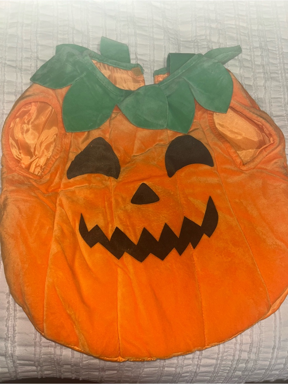 2-3 YEARS ZARA Pumpkin Costume - Orange with Green Leaf Collar